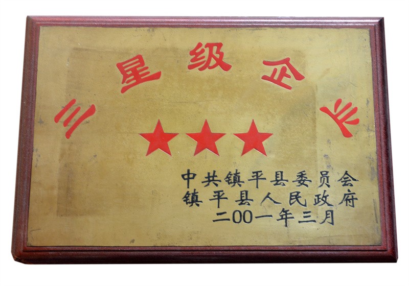 三星級(jí)企業(yè)